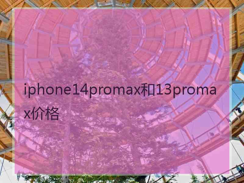 iphone14promax和13promax价格