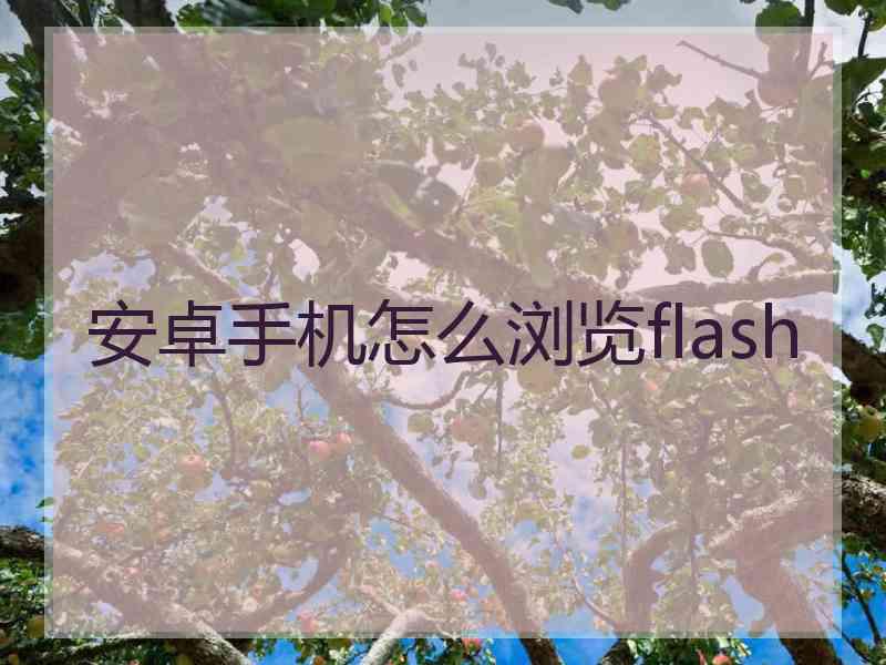 安卓手机怎么浏览flash