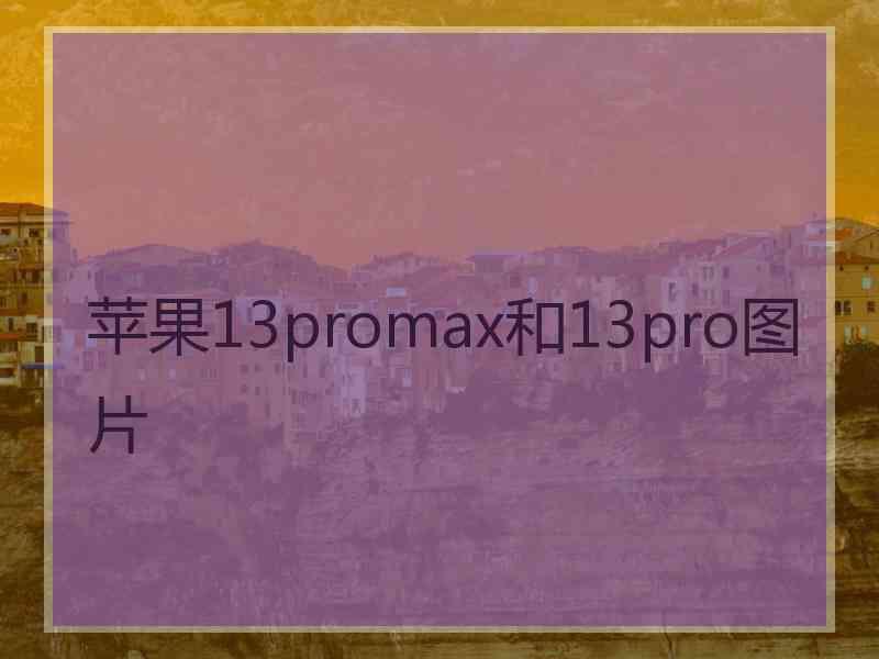 苹果13promax和13pro图片