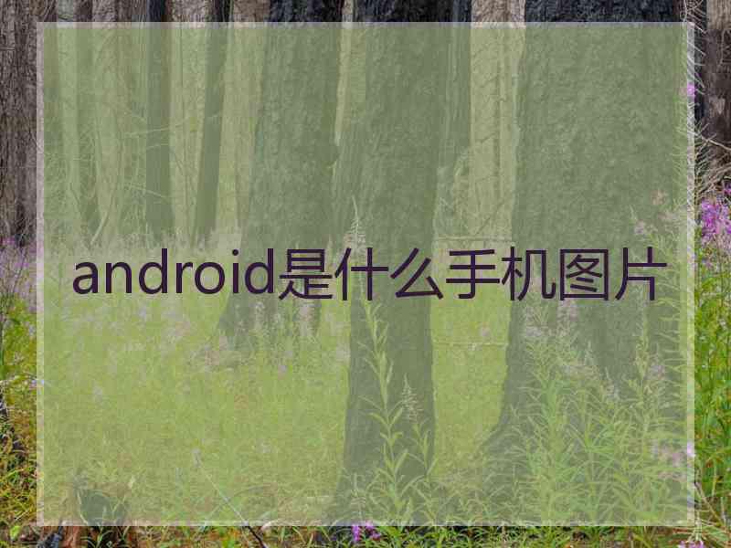 android是什么手机图片