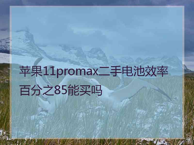 苹果11promax二手电池效率百分之85能买吗