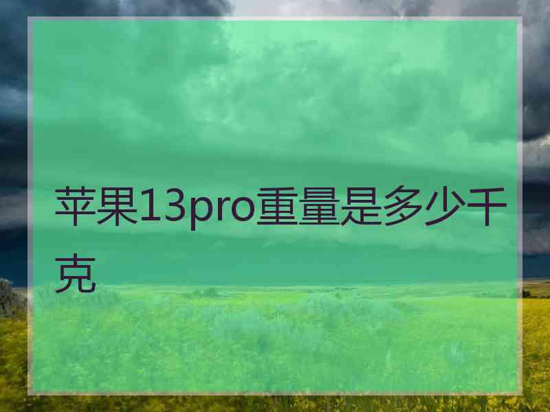 苹果13pro重量是多少千克