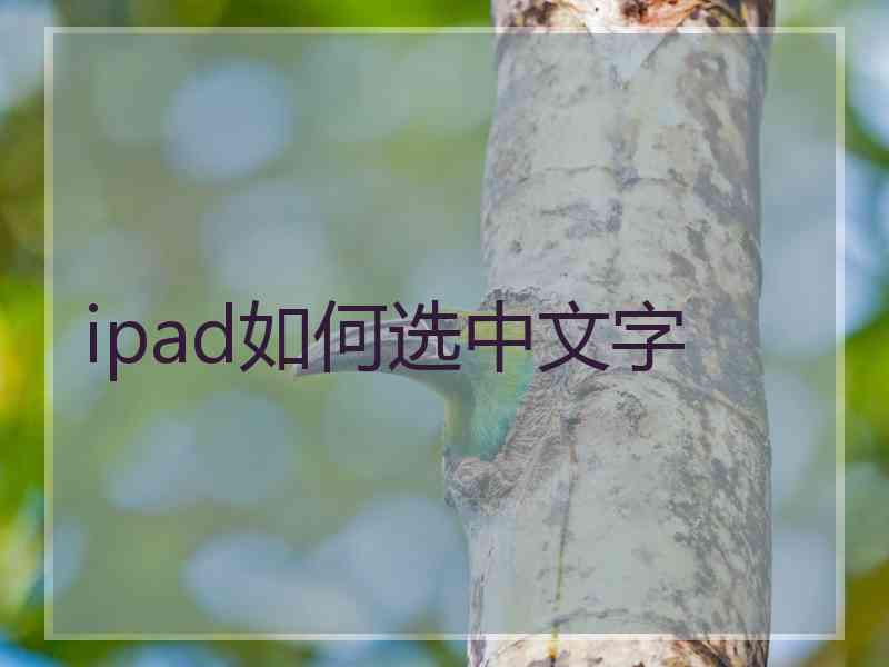 ipad如何选中文字