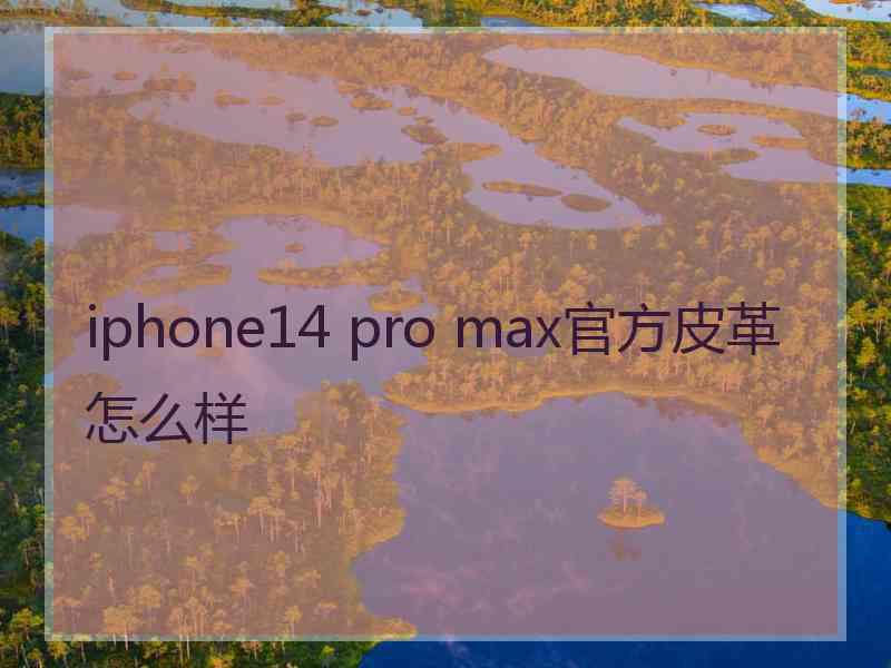 iphone14 pro max官方皮革怎么样