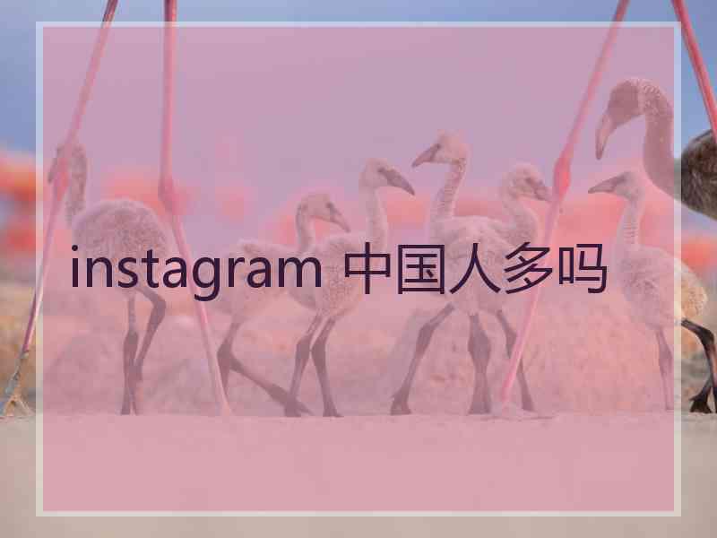 instagram 中国人多吗