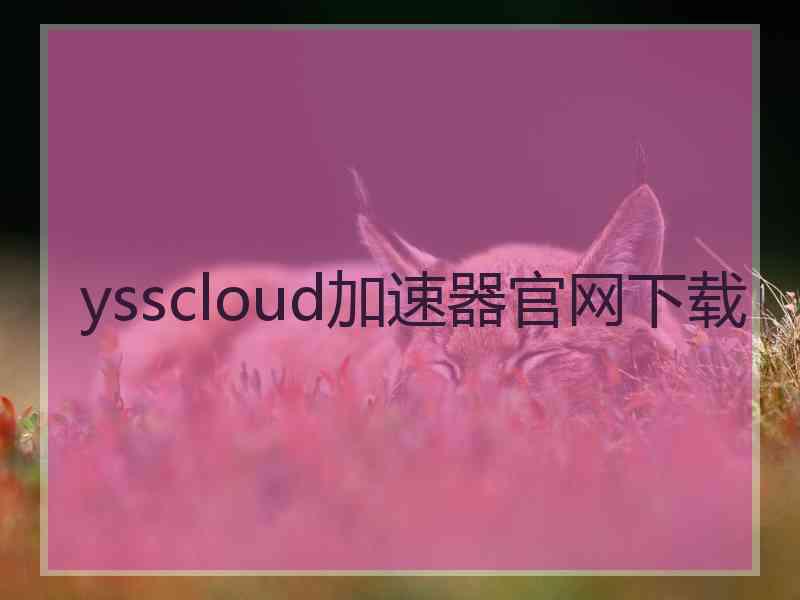 ysscloud加速器官网下载