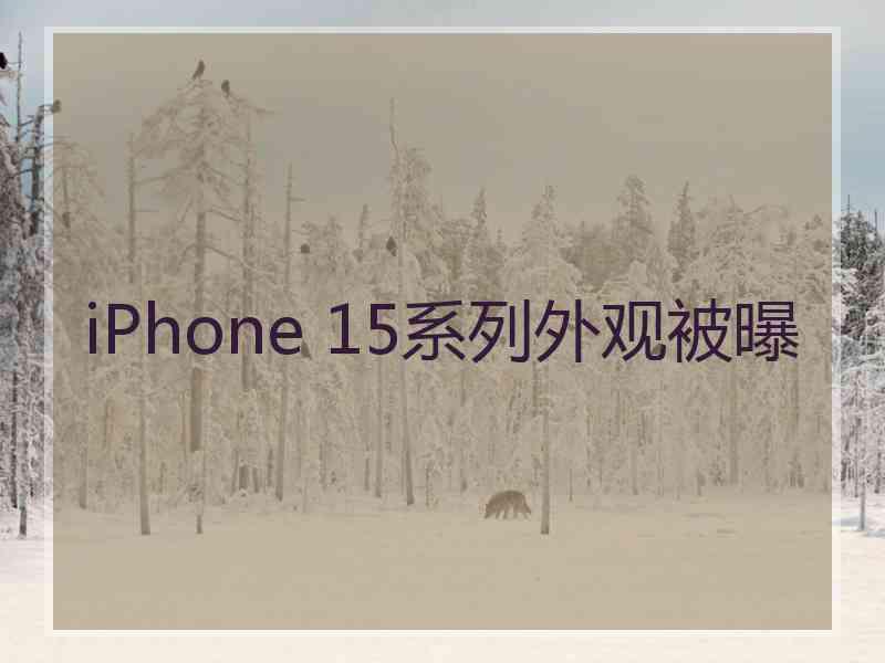 iPhone 15系列外观被曝