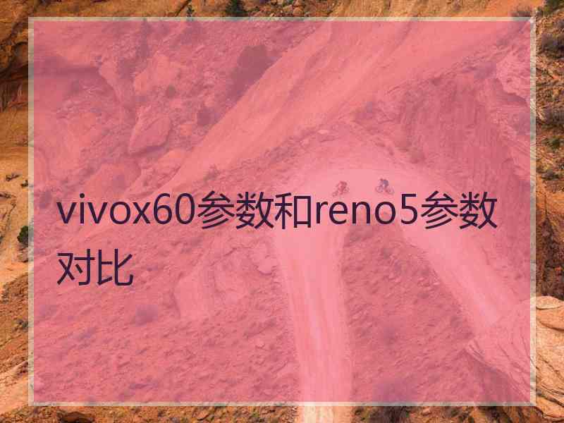 vivox60参数和reno5参数对比