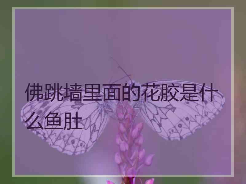 佛跳墙里面的花胶是什么鱼肚