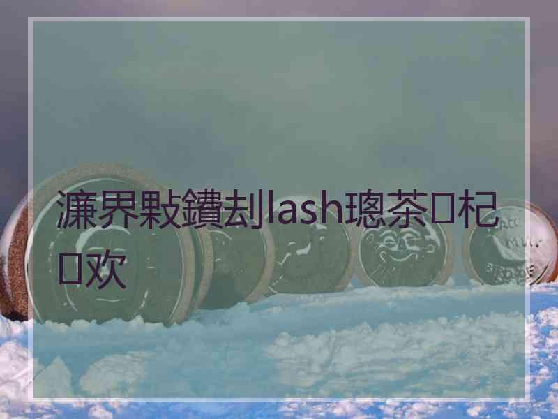 濂界敤鐨刦lash璁茶杞欢