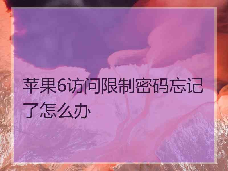 苹果6访问限制密码忘记了怎么办