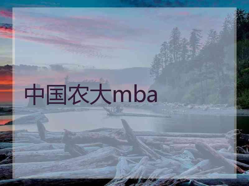 中国农大mba