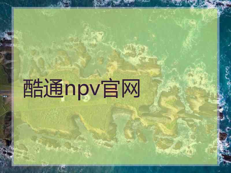 酷通npv官网