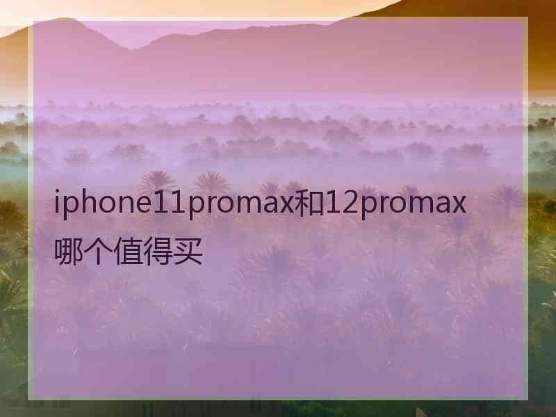 iphone11promax和12promax哪个值得买