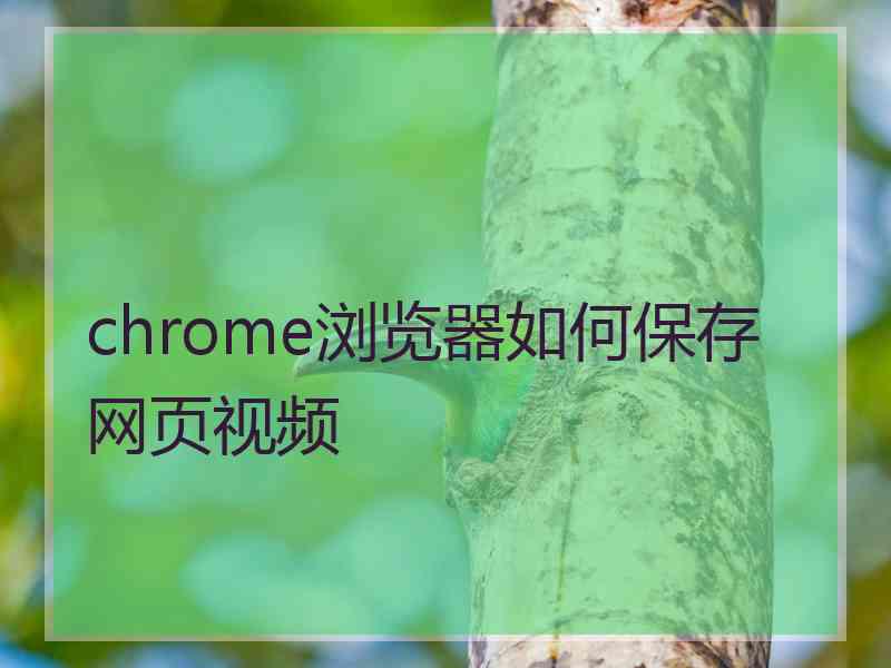 chrome浏览器如何保存网页视频