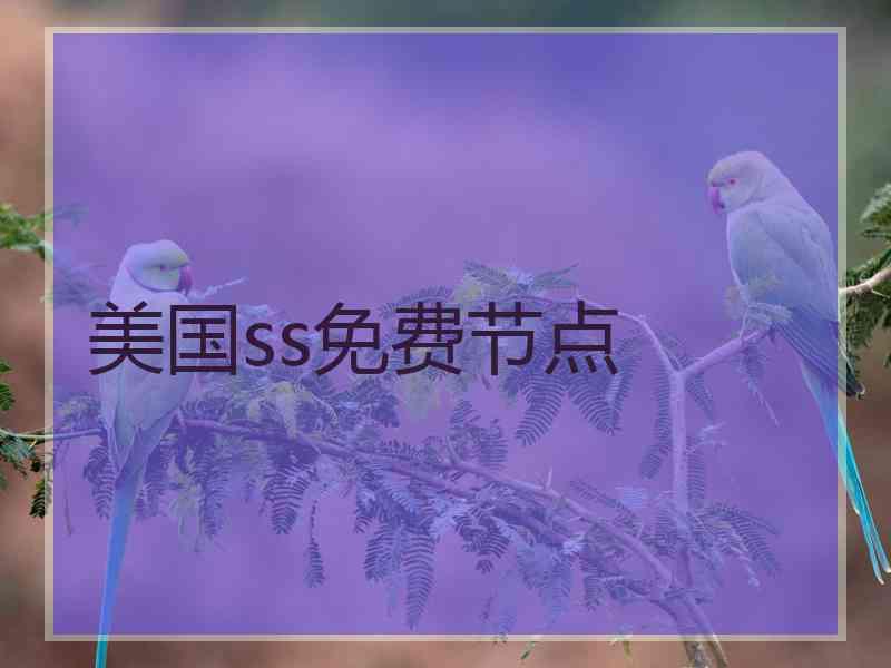 美国ss免费节点