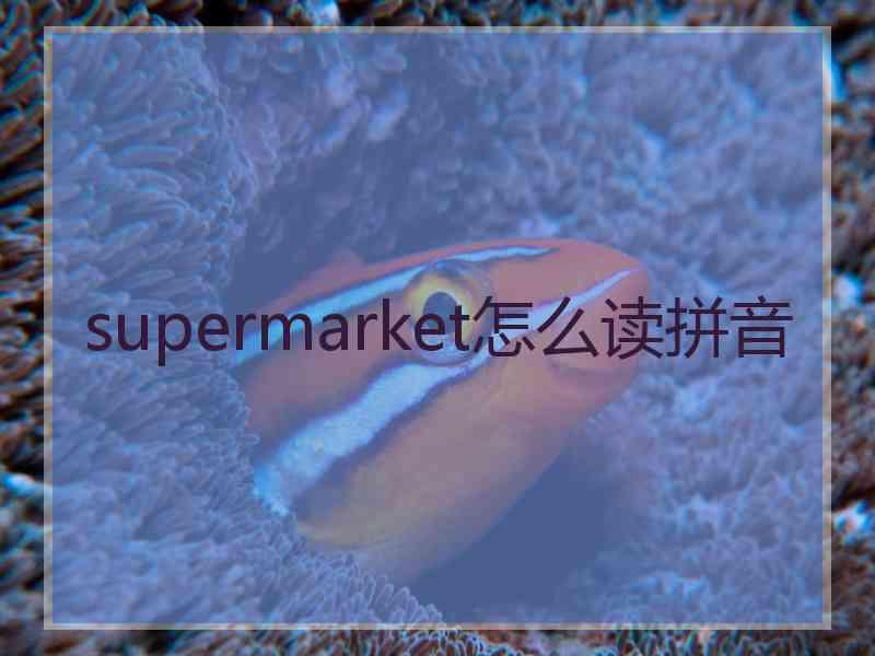 supermarket怎么读拼音