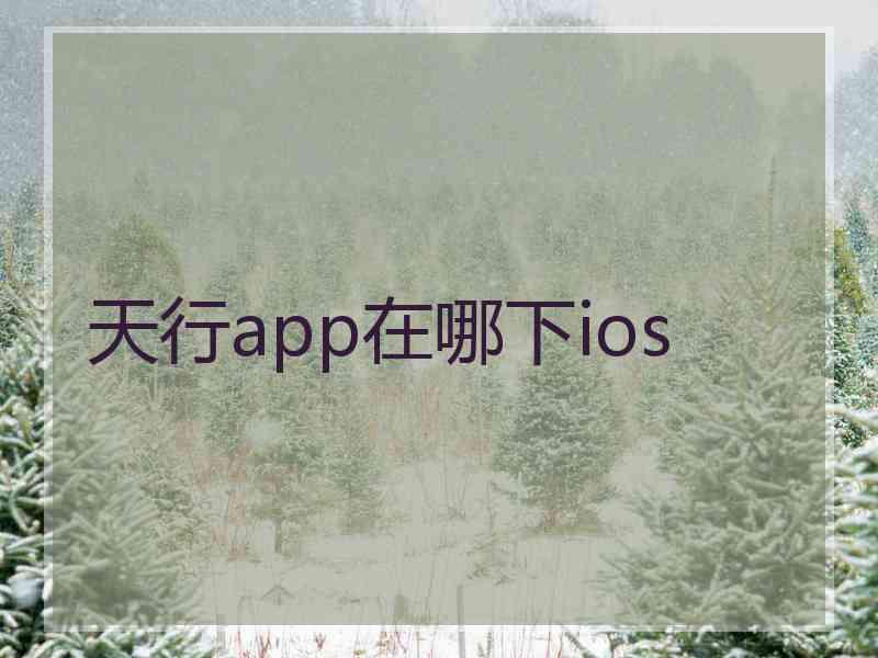 天行app在哪下ios