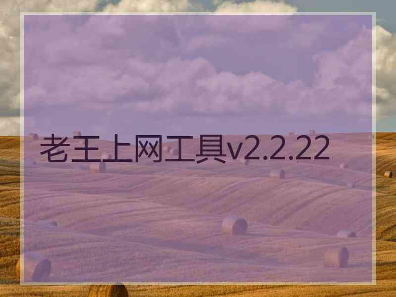 老王上网工具v2.2.22