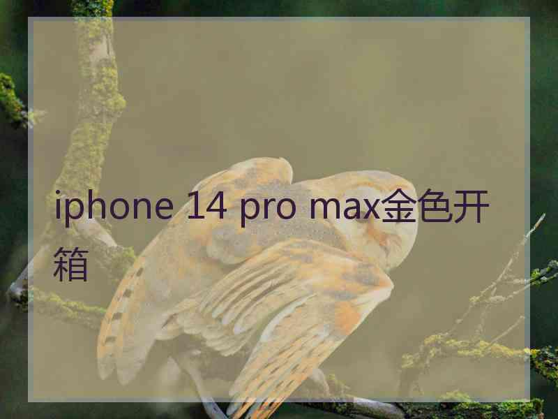 iphone 14 pro max金色开箱