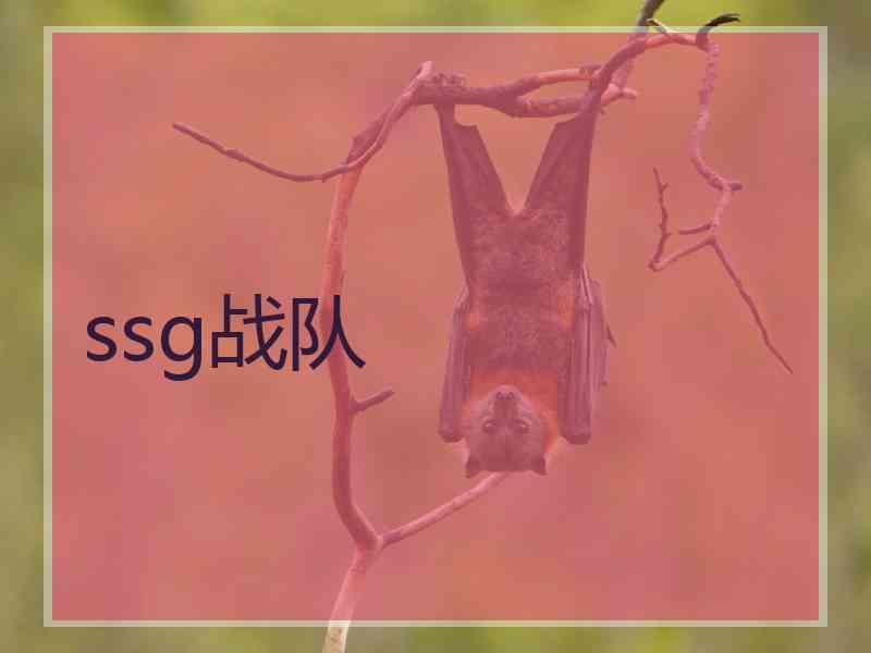 ssg战队