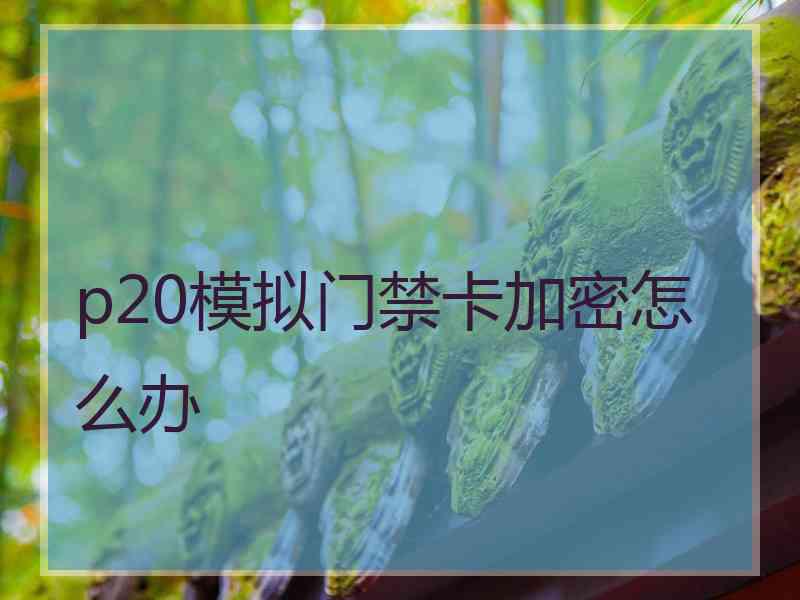 p20模拟门禁卡加密怎么办