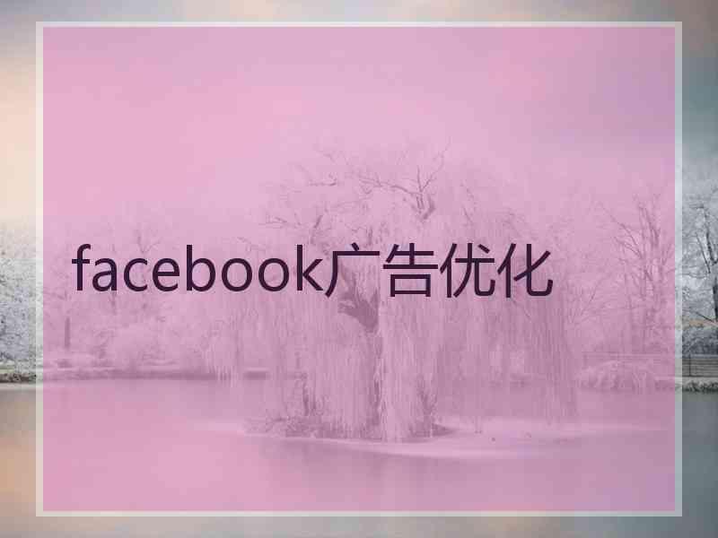 facebook广告优化