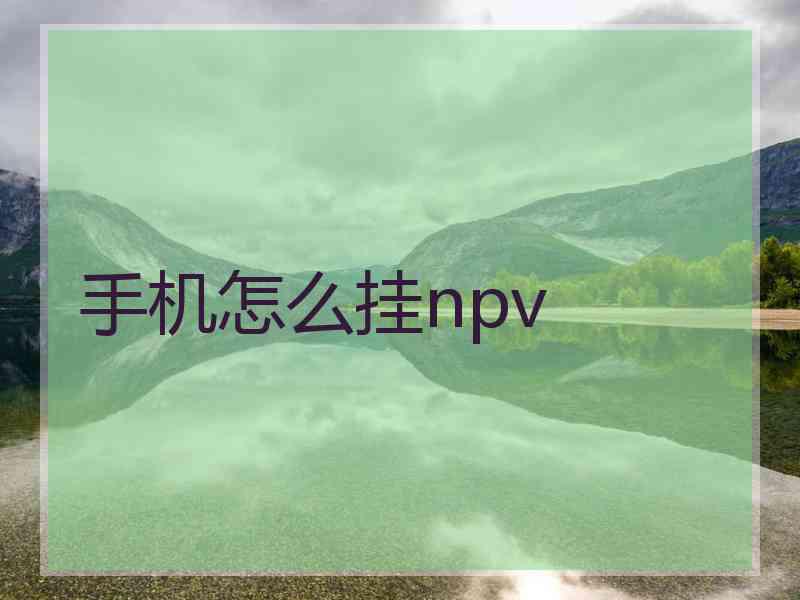 手机怎么挂npv