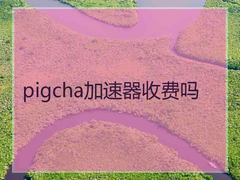 pigcha加速器收费吗