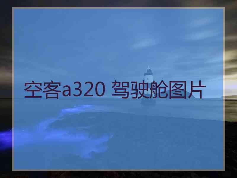 空客a320 驾驶舱图片