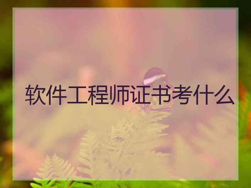 软件工程师证书考什么