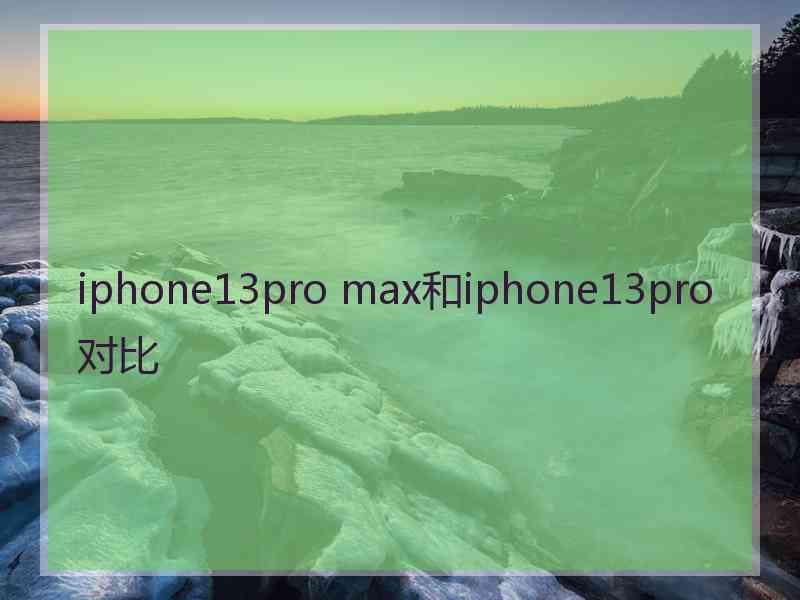 iphone13pro max和iphone13pro对比