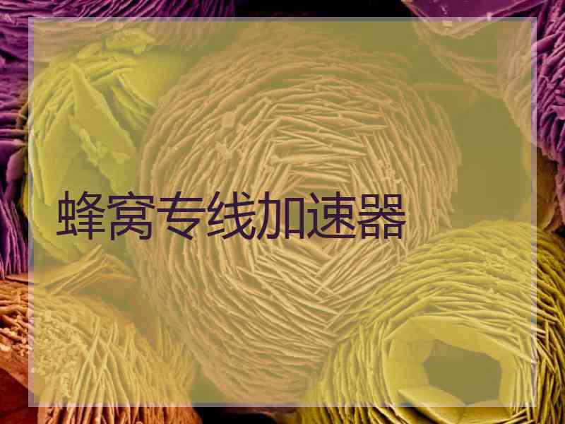 蜂窝专线加速器