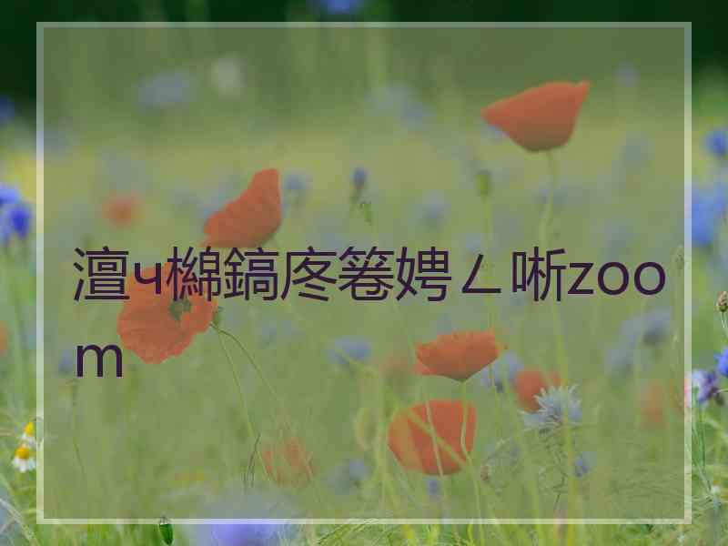 澶ч檰鎬庝箞娉ㄥ唽zoom