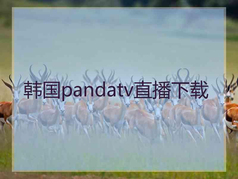 韩国pandatv直播下载