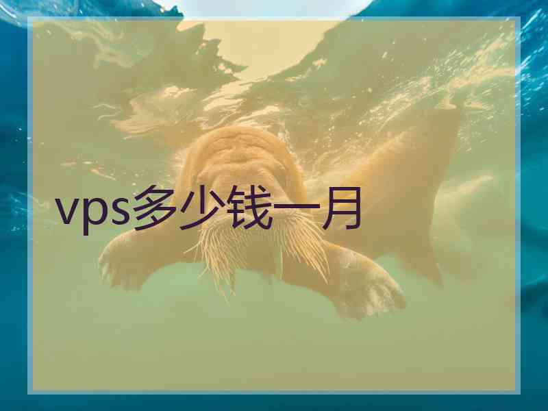 vps多少钱一月