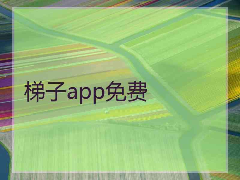 梯子app免费