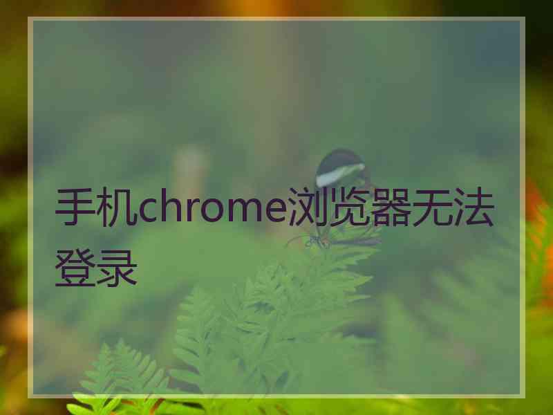 手机chrome浏览器无法登录