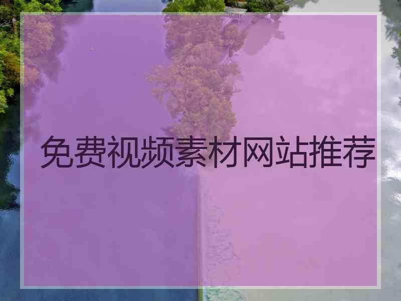 免费视频素材网站推荐