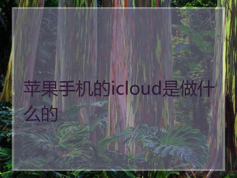 苹果手机的icloud是做什么的