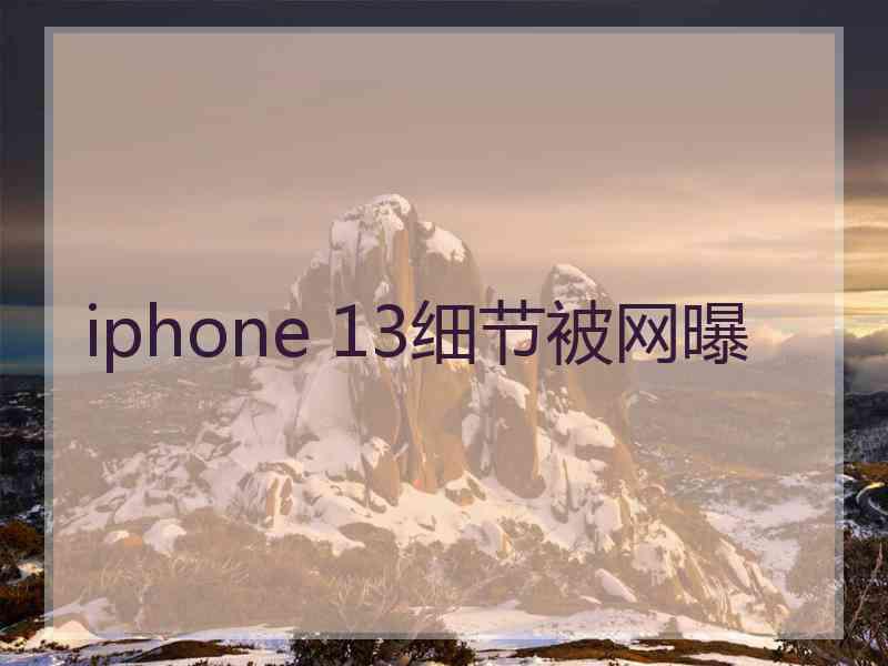 iphone 13细节被网曝