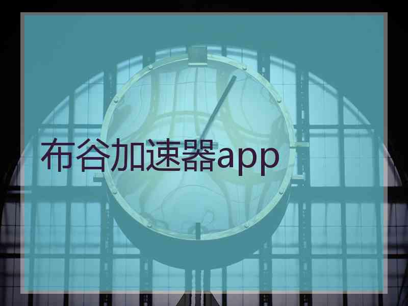 布谷加速器app