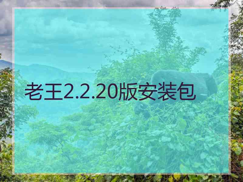 老王2.2.20版安装包