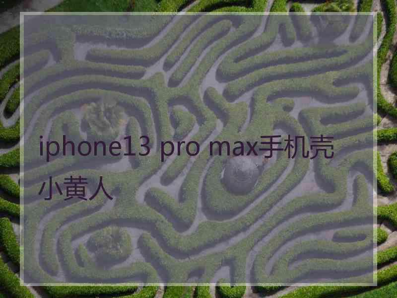 iphone13 pro max手机壳小黄人