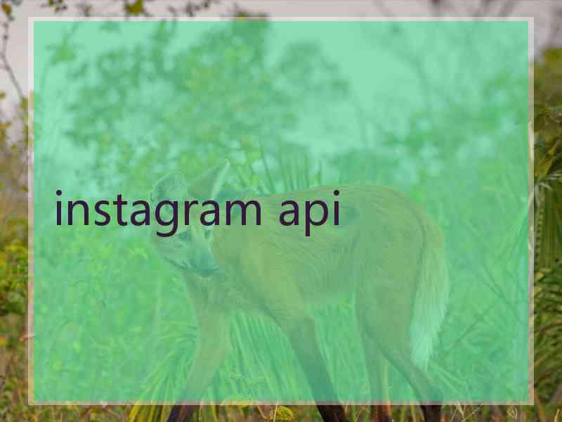 instagram api