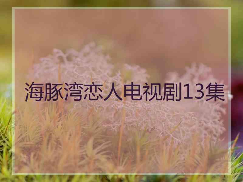 海豚湾恋人电视剧13集