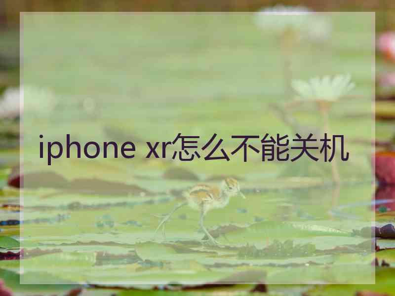 iphone xr怎么不能关机