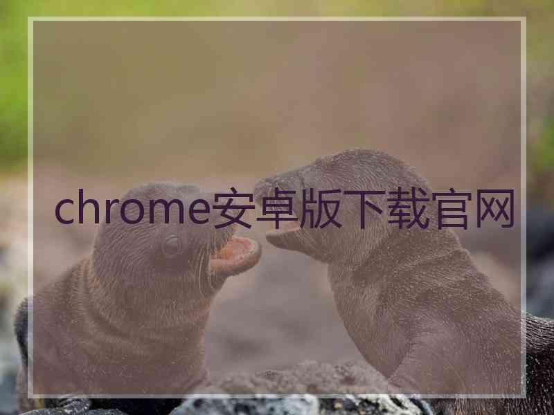 chrome安卓版下载官网