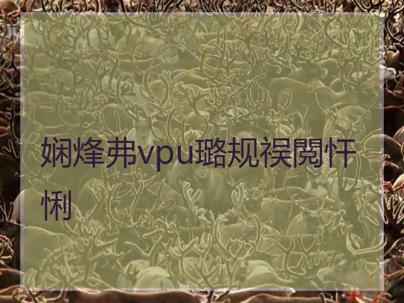 娴烽弗vpu璐规祦閲忓悧