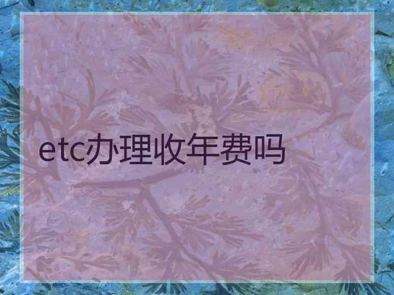 etc办理收年费吗